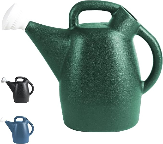 Chapin 48009 Watering Can, 2 Gallon, Indoor and Outdoor Plants, Lawn, Garden, Removable Nozzle, D... | Amazon (US)