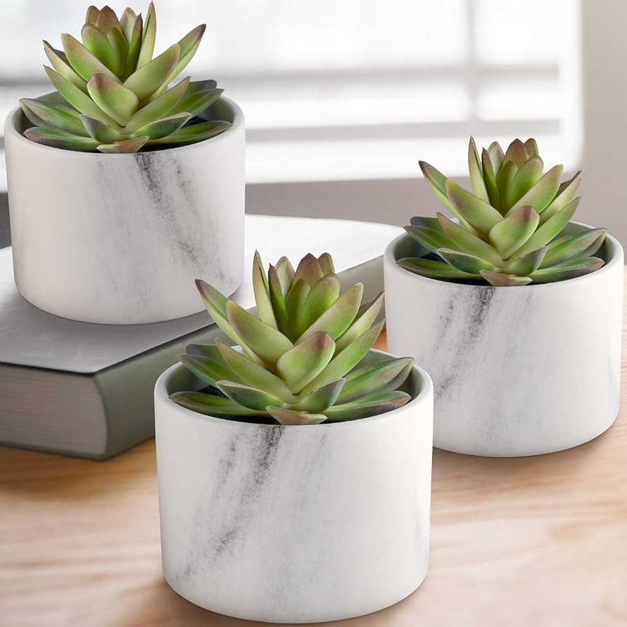 SEEKO Artificial Succulents in Ceramic Pots - Set of 3 Realistic & Beautiful Fake Succulents for ... | Amazon (US)