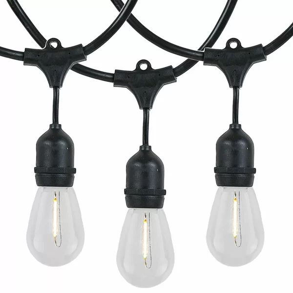Docia 48' Outdoor 24 - Bulb Standard String Light | Wayfair North America