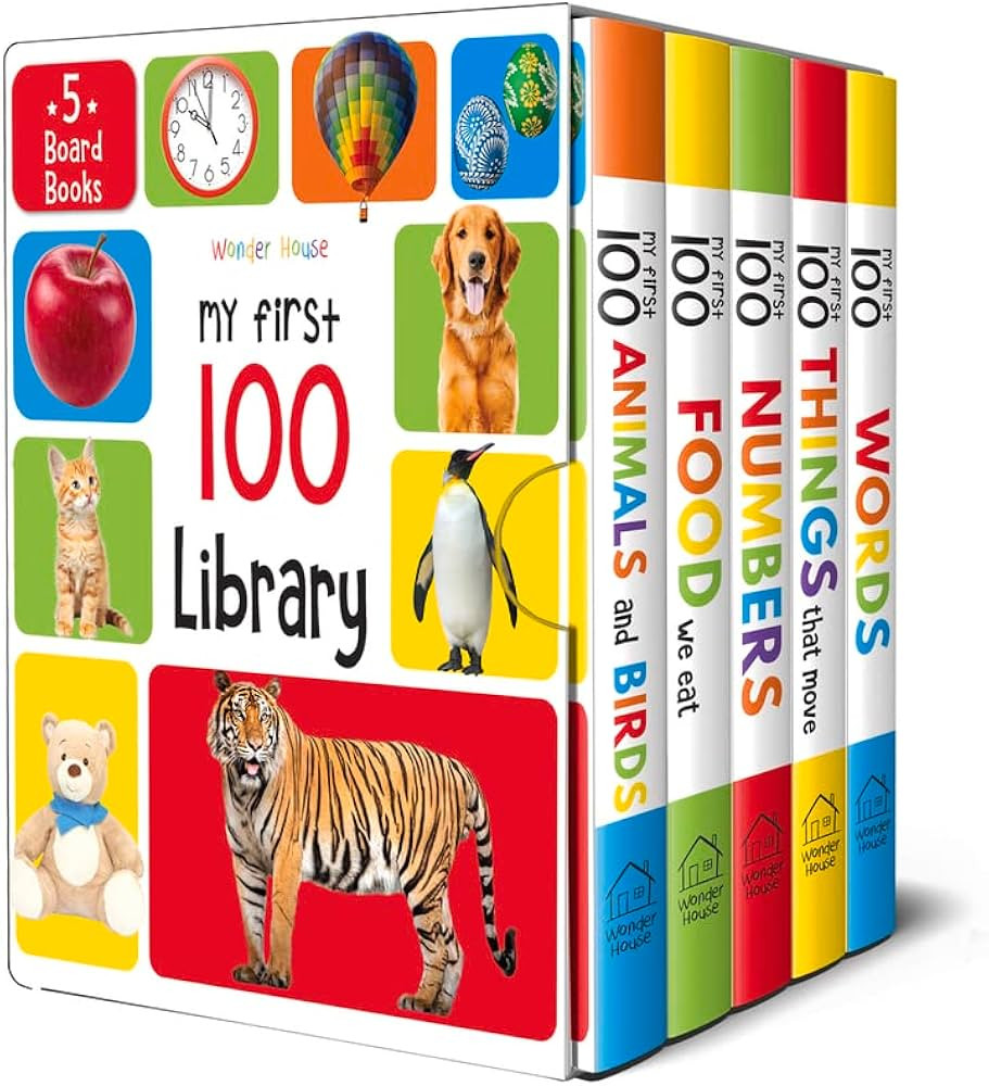 My First 100 Library: Boxset of 5 Early Learning Board Books | Amazon (US)