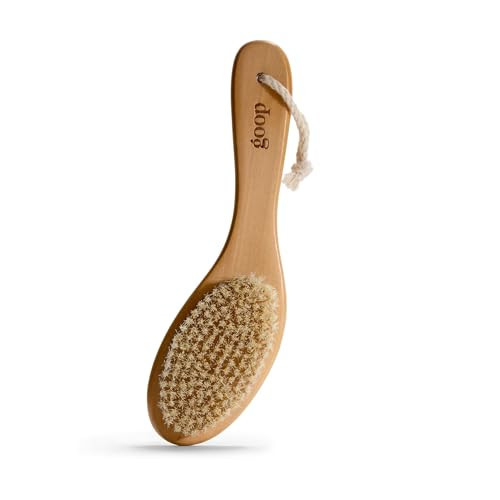 goop Beauty Dry Brush | Detoxifying Body Exfoliator | Wooden Handle with Natural Biodegradable Sisal Fibers | Sweeps Away Dead Skin | FSC Certified | Amazon (US)