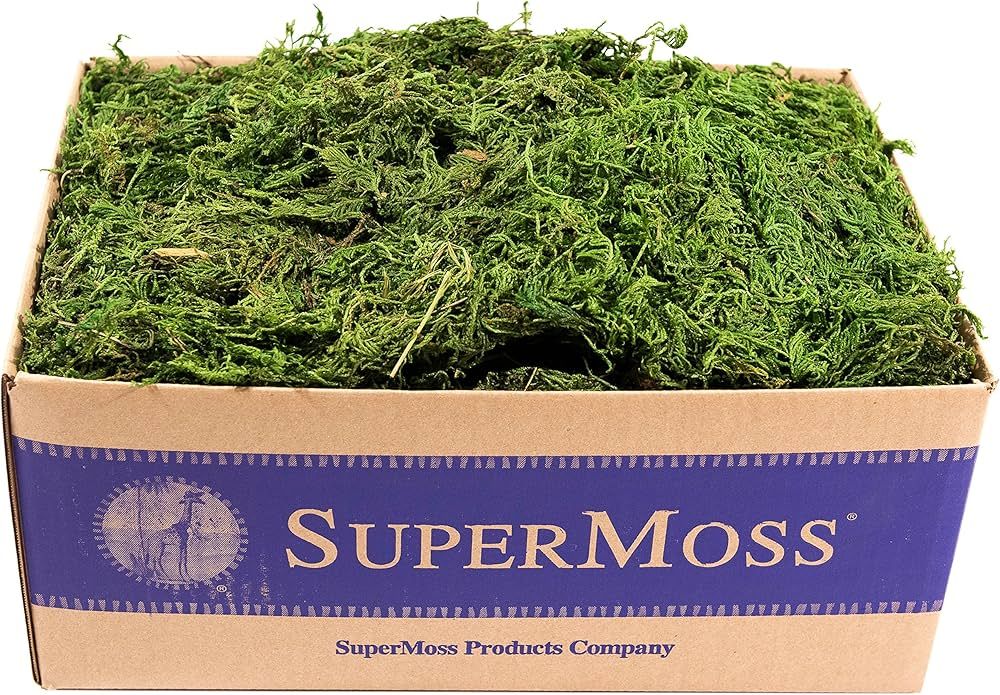 SuperMoss (25325) Forest Moss Preserved, Fresh Green, 3 Pounds | Amazon (US)