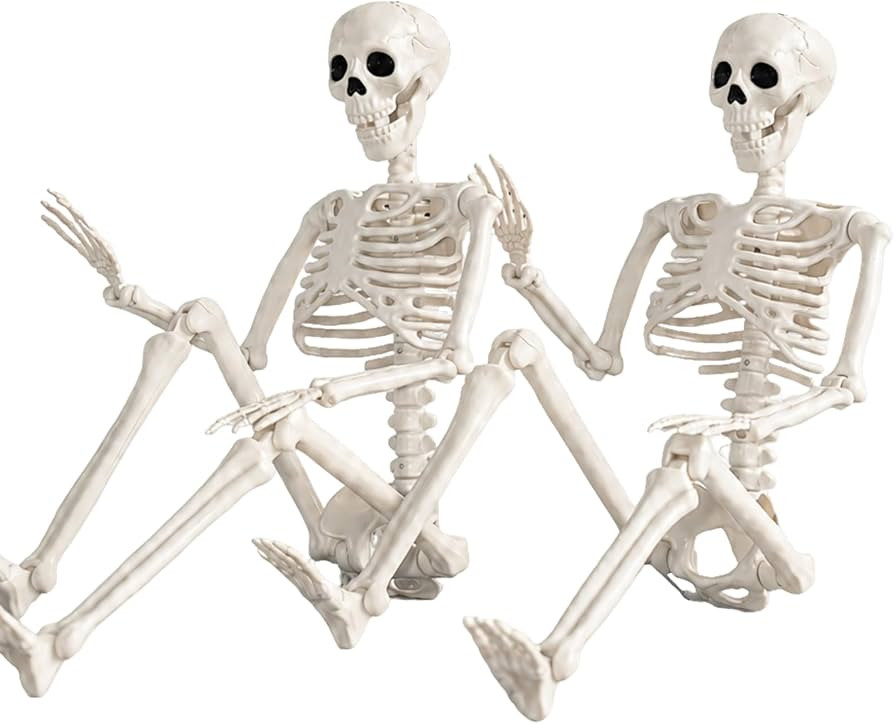 Abakuku 2 Pack 36" Halloween Skeleton Decorations,Human Bones for Halloween Party with Movable Jo... | Amazon (US)