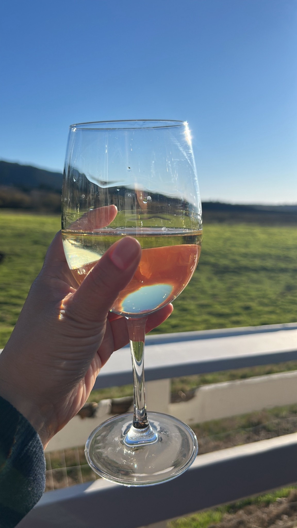 Golden Hour White Wine and Sunset Vibes

There is something about a glass of chilled white wine as the sun begins to set that softens the whole day. The light turns warm, the air feels lighter, and everything slows down just enough to be present. This is my favorite kind of evening ritual. soft fabrics, simple layers, and a look that feels as easy as the moment. Whether it is on a patio, by the water, or just in your own backyard, this is your reminder to pause, sip, and let the day land gently.

#sunsetvibes #whitewine #goldenhour #eveningritual #coastalstyle #californiaaesthetic #winelovers #ootdinspo #relaxedstyle #casualelegance

white wine | sunset vibes | golden hour outfit | california sunset | wine night style | coastal aesthetic | evening outfit ideas | relaxed chic look

#LTKdayinmylife #LTKTravel #LTKfoodie