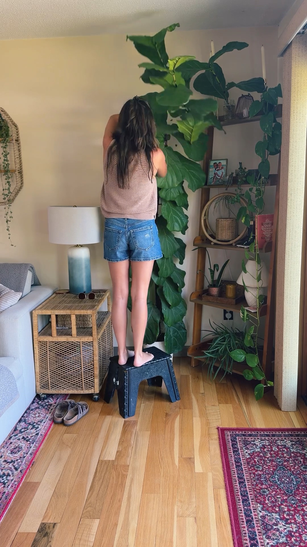 propagating plants 🌱✂️🪴

Small in my apricot in my tank, small in my bra, 00 in my denim shorts (medium wash—size up if you want looser! Waist is tighter). My sandals are size 36. My necklace is from Acorns and Twine and I highly recommend. I also linked similar!
My bag is the small one🤎


Linked my couch and what I could of my living room—linked similar for what’s thrifted/older!

#LTKSeasonal #LTKHome #LTKdayinmylife