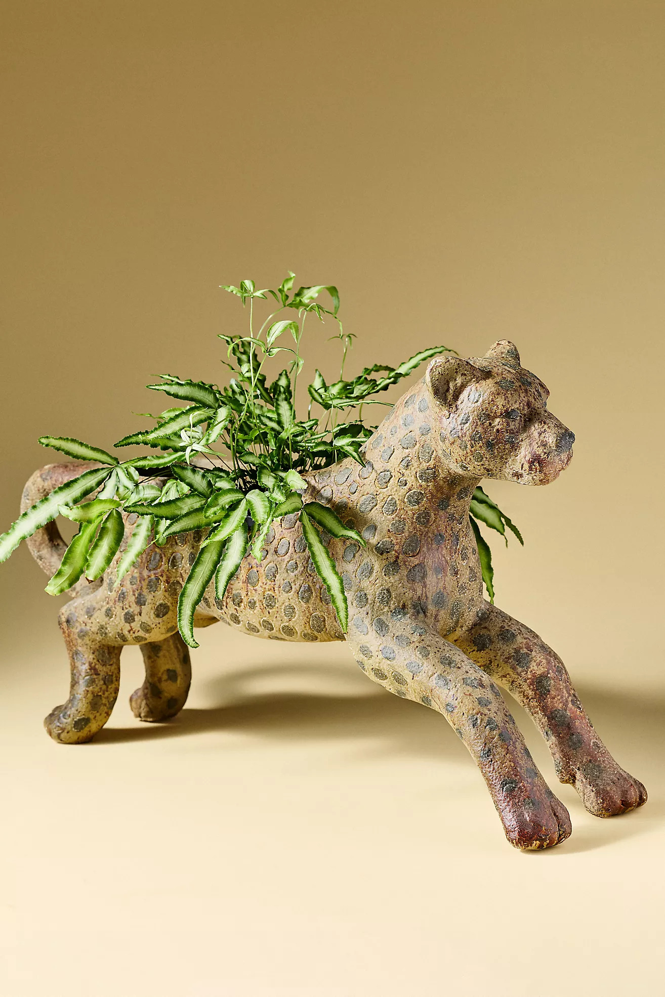 Vintage-Inspired Leopard Pot | Anthropologie (US)