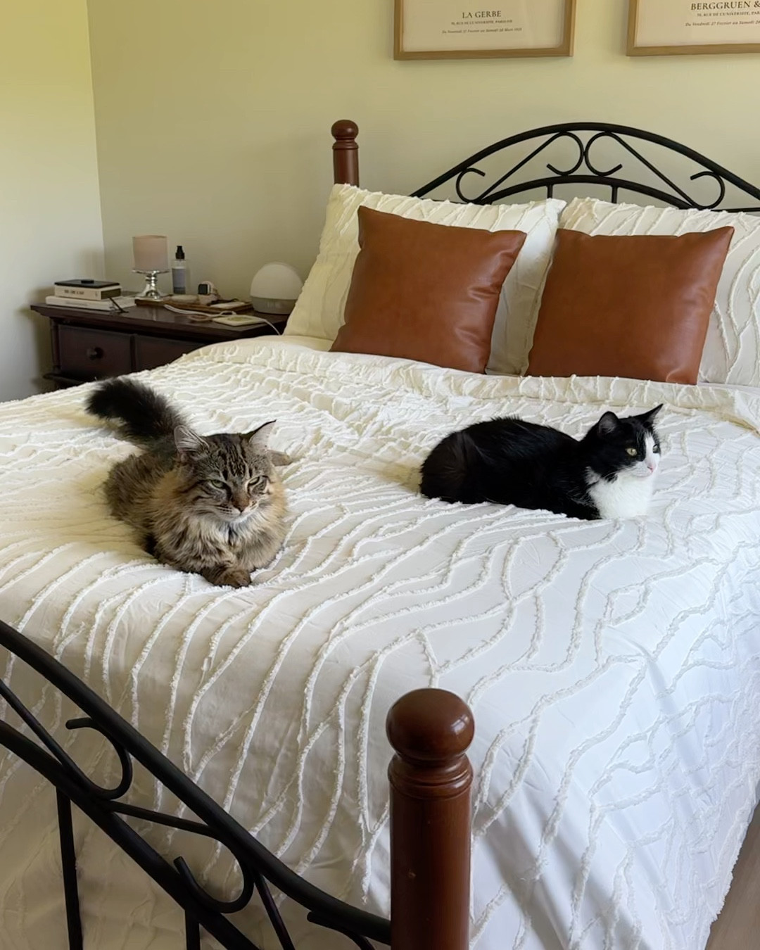 #ad Lush Decor’s Jacquard Wave Duvet 3 Piece Set is the perfect addition to my new bedroom 🤍 it’s so airy, soft, and beautiful (and the kittens LOVE it). Use my code ALIGIBSON for 25% off most items  @LushDecorHome #LushDecorHome 

#LTKVideo #LTKHome #LTKStyleTip