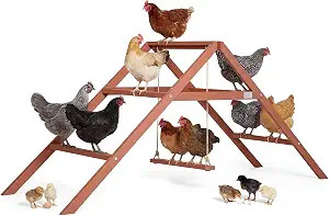 PETSFIT Wooden Chicken Roosting Bars for 10-12 Chickens, Easy Assembly | Amazon (US)