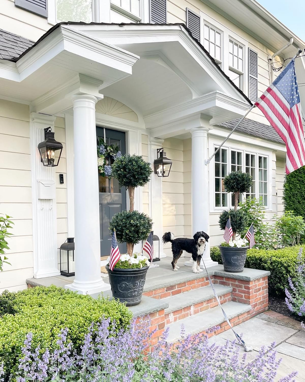 Megan DiMaggio Design | Amazon (US)