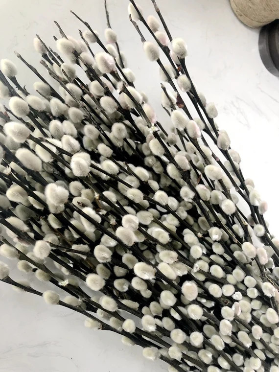 10 STEM 30 LONG 2021 Real White/red Willow Decor  | Etsy | Etsy (US)