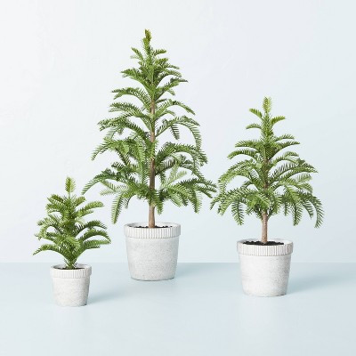Faux Balsam Fir Tree in Washed Cement Pot - Hearth & Hand™ with Magnolia | Target