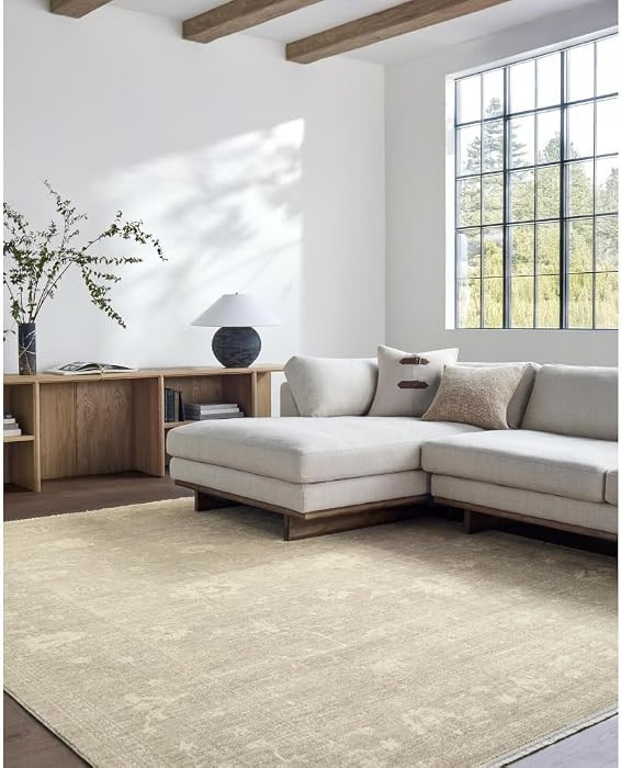 Livabliss x Galey Alix Fetscher III Vintage Damask Area Rug, 7'10" x 10' (8' x 10'), Light Brown | Amazon (US)