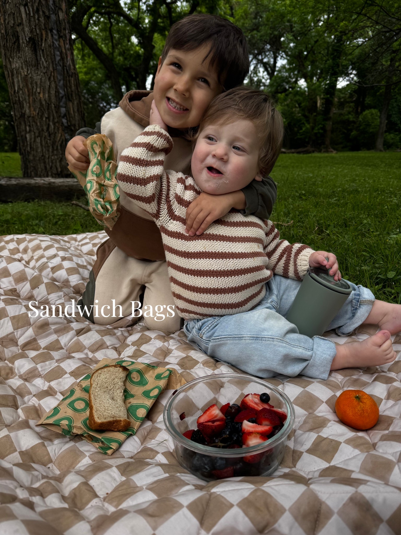 Travel 
Sandwich bags 
Food on the go 

#LTKKids #LTKTravel #LTKBaby