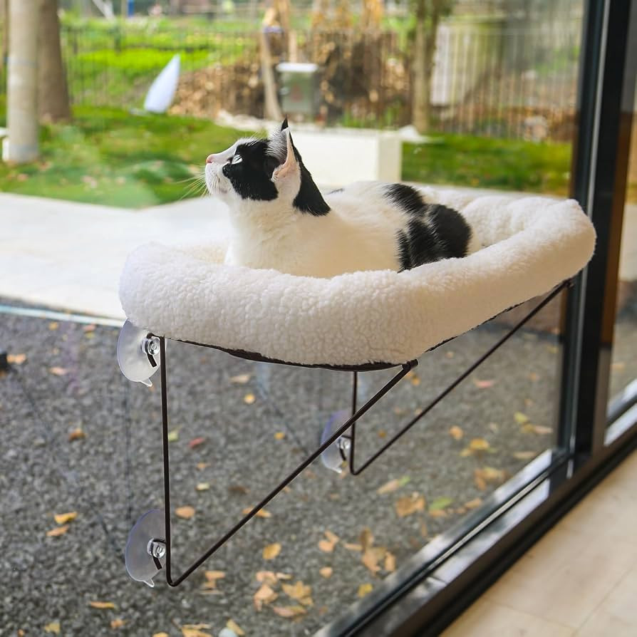 Cat Window Perch - 100% Metal Supported from Below - Comes with Warm Spacious Pet Bed - Cat Windo... | Amazon (US)