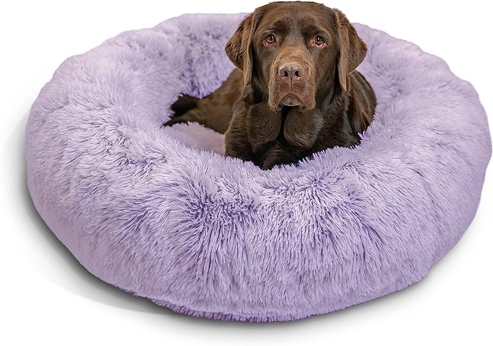 Best Friends by Sheri The Original Calming Donut Cat and Dog Bed in Shag Fur Lavender, Large 36x3... | Amazon (US)