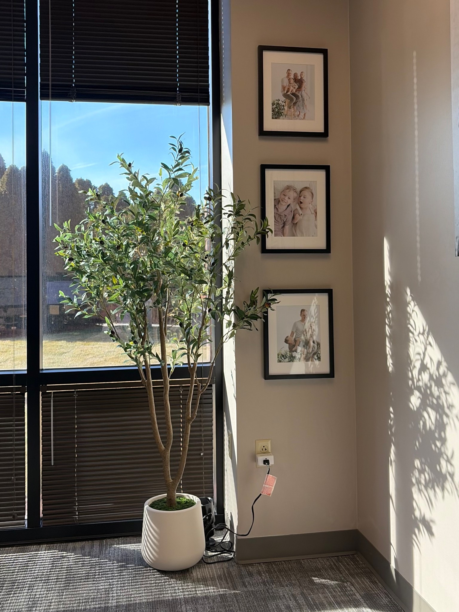 Amazon tree / target picture frames 

We have this tree in 5’ in our bedroom and Ethan has the 6’ in his office at work! These frames are also great quality 

Affordable decor 

#LTKHome