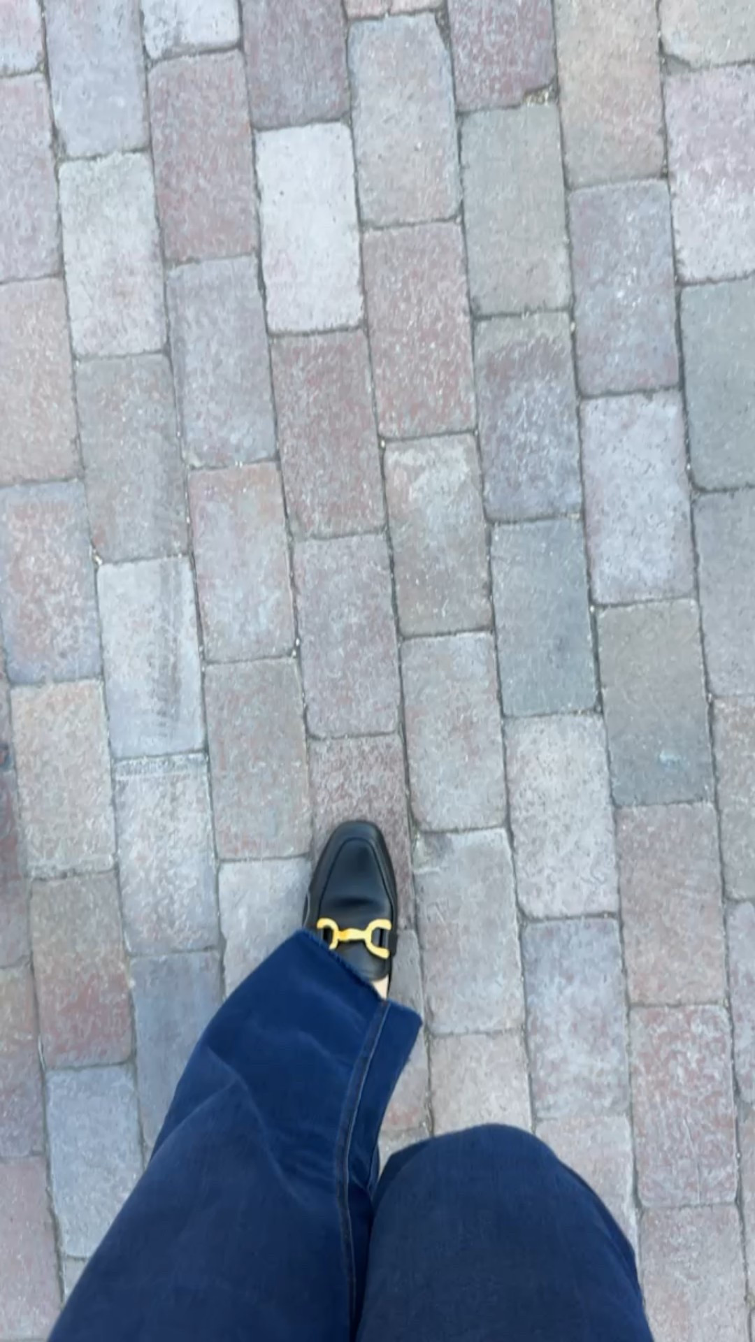 Getting my steps in today while in AZ. We walked over two miles and these shoes held up. 

I am a wardrobe stylist, mom of two boys (really men), a wife, and post menopausal woman in business who is 14/16 on the bottom, a L on top and I am 5’4”. 
I have been every thing from a size 10-18+

#LTKselfcare #LTKdayinmylife #LTKfitnessgoals