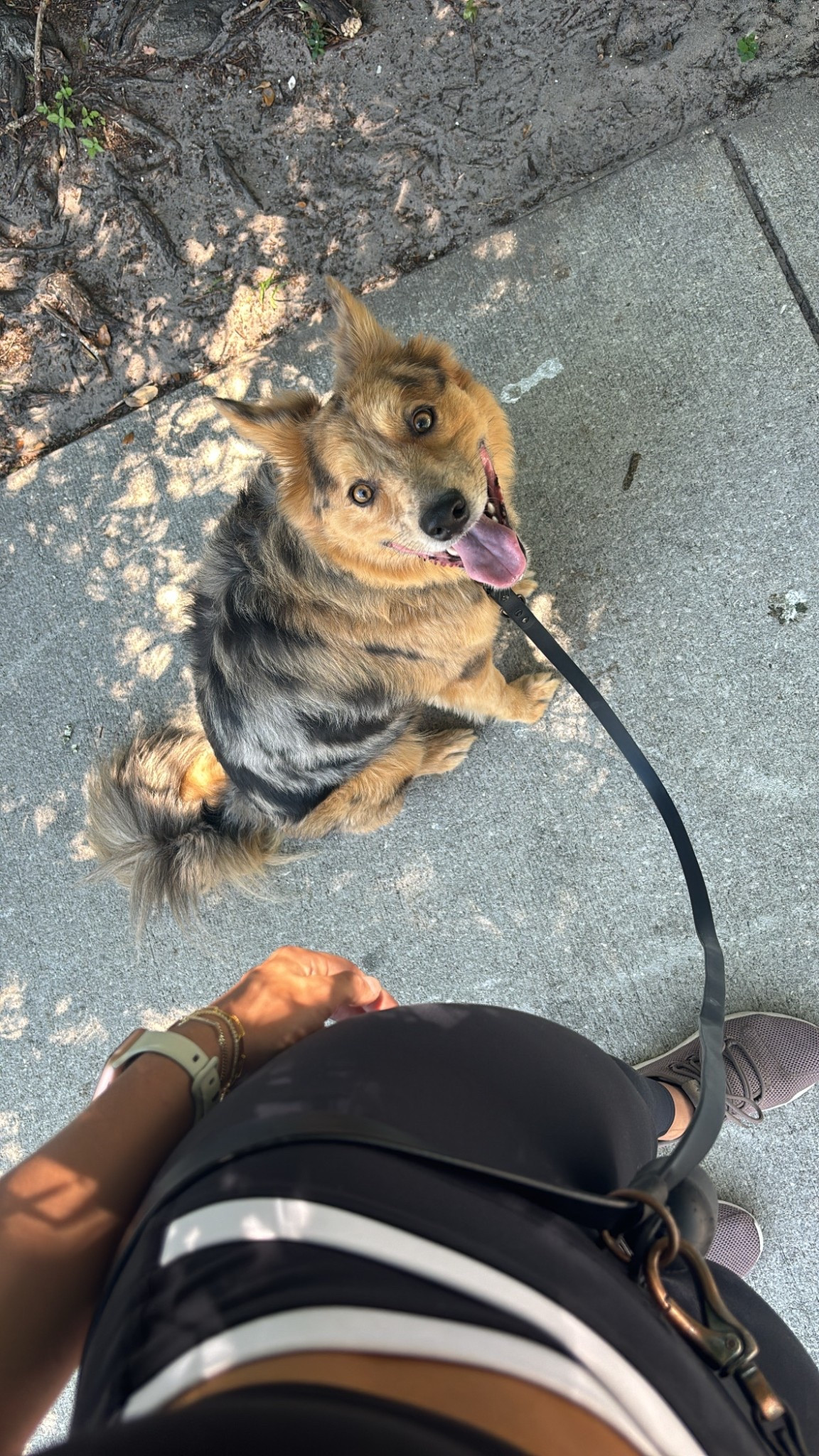 The most perfect set🖤

#LTKFindsUnder50 #LTKStyleTip #LTKActive