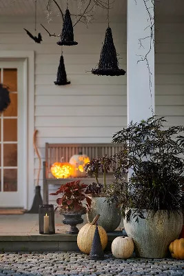 Black Vine Witch Hat | Anthropologie (US)