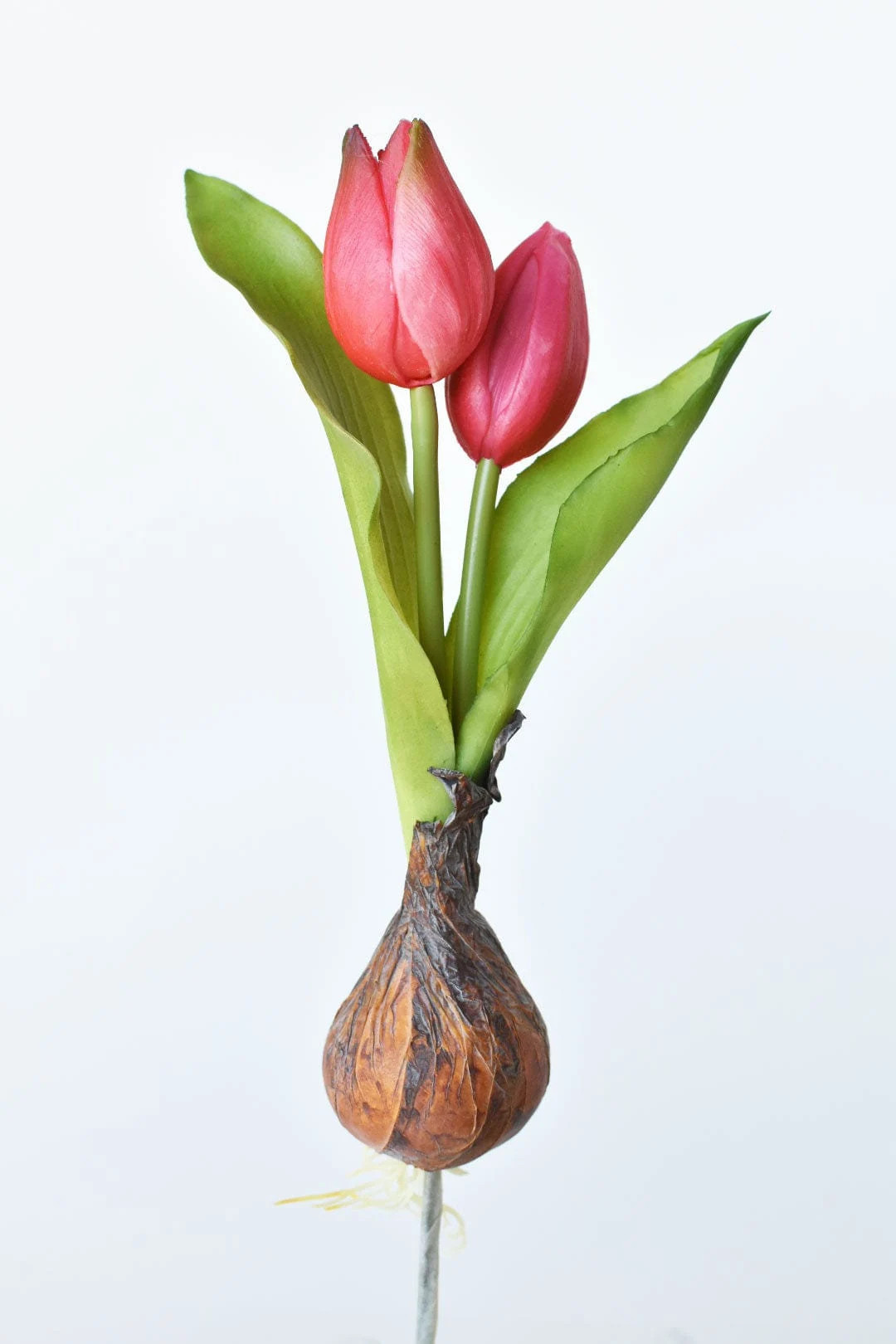 8" Faux Real Touch Fuchsia Tulips in Bulb W/pick - Etsy | Etsy (US)