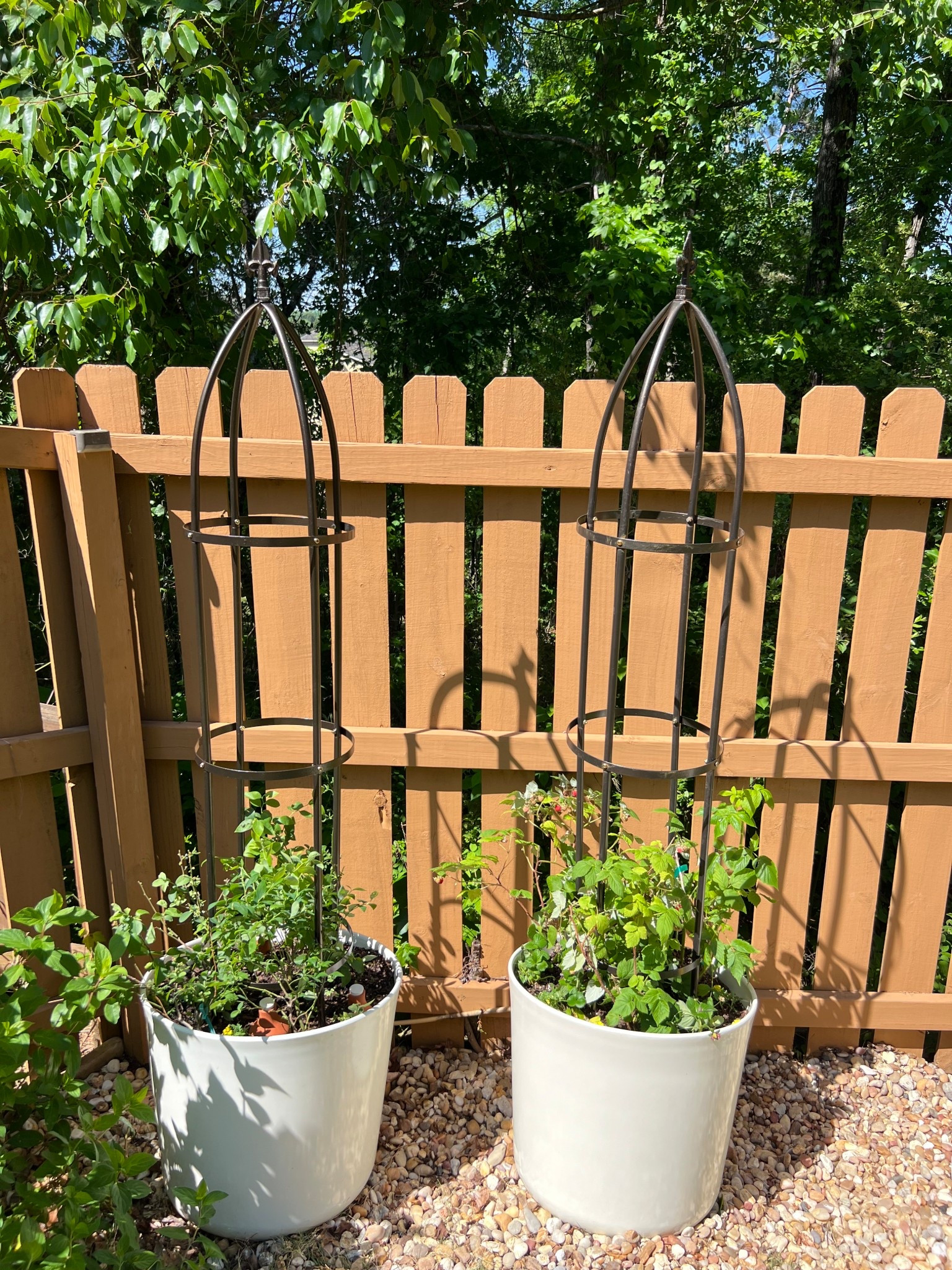 White planter and garden trellis! Gardening made simple with this cute and simple setup! 

Sprung, Summer, White Planter, Obelisk, Trellis, Outdoors, Wellness


#LTKHome #LTKdayinmylife #LTKSeasonal