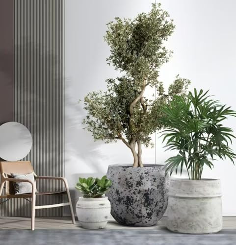 Craft flowerpots 18"+13"+9" Dia Round Concrete Planter Set of 3 Large Outdoor/Indoor Planter Pots... | Amazon (US)