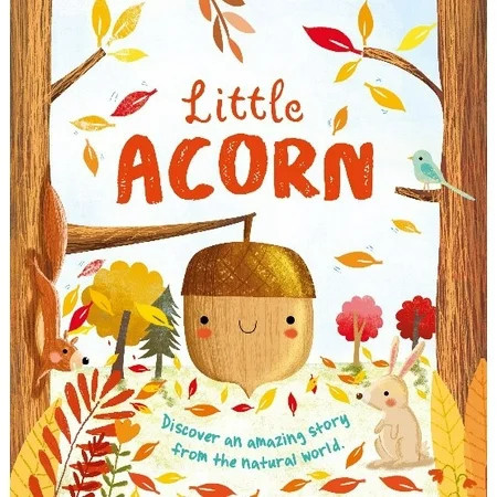 Nature Stories: Little Acorn-Discover an Amazing Story from the Natural World: Padded Board Book (Board Book) | Walmart (US)