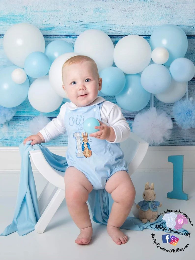 Peter Rabbit Romper 1st Birthday Cake Smash Romper Baby Boy Birthday Photo Prop Party Outfit Hand... | Etsy (US)