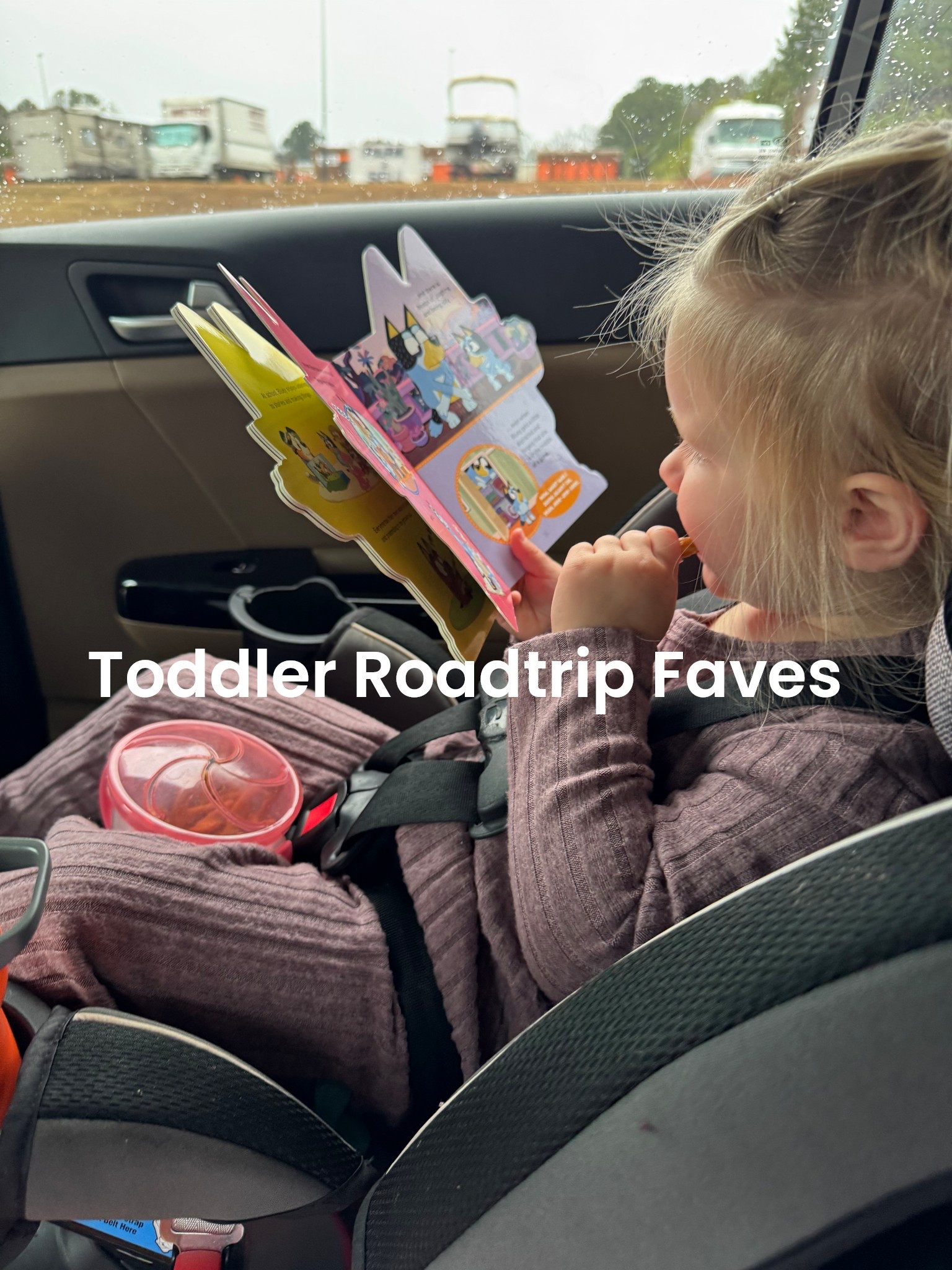 Addy’s roadtrip faves!! 

#LTKmomlife #LTKKids #LTKTravel