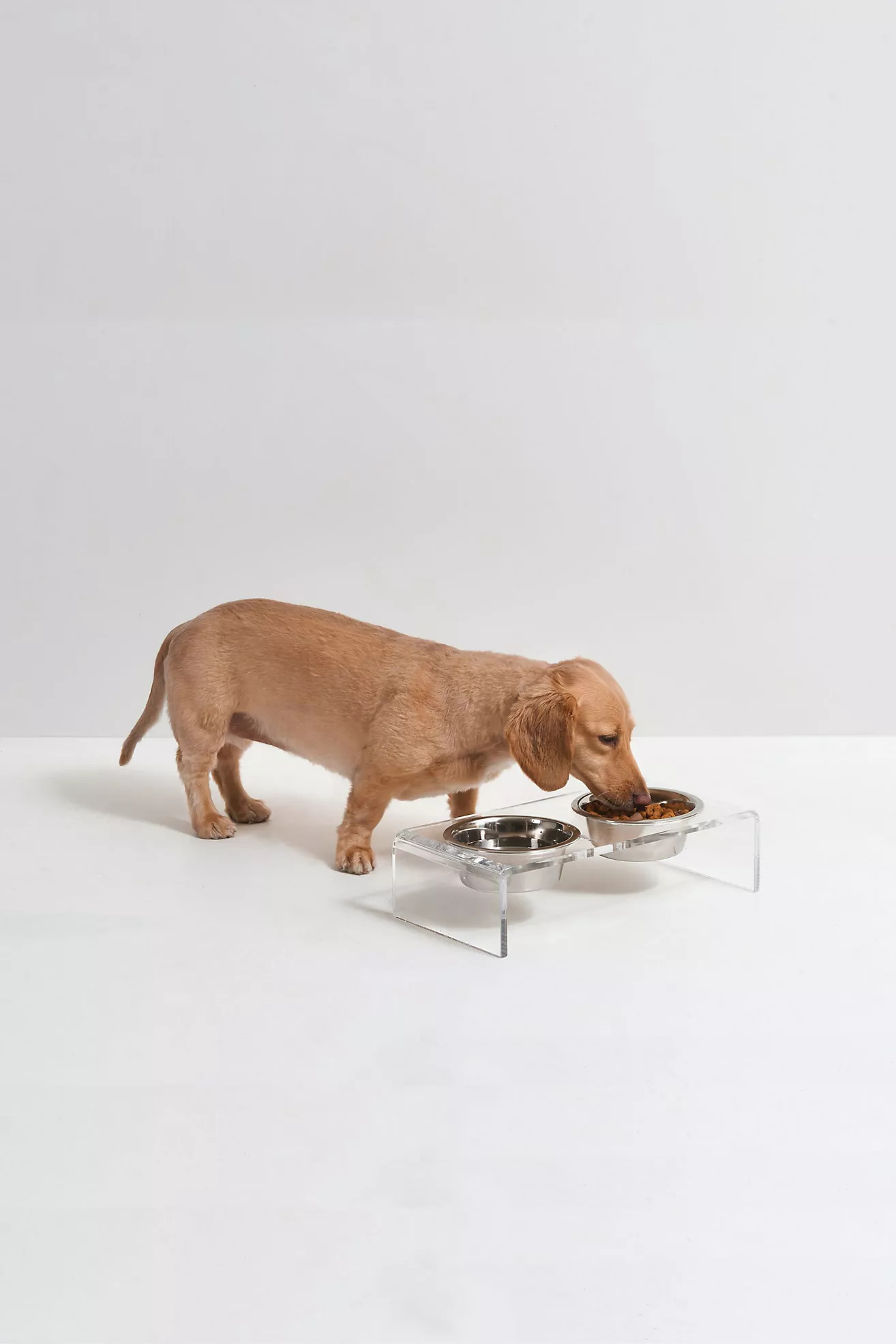 Hiddin Small Clear Double Bowl Pet Feeder | Anthropologie (US)