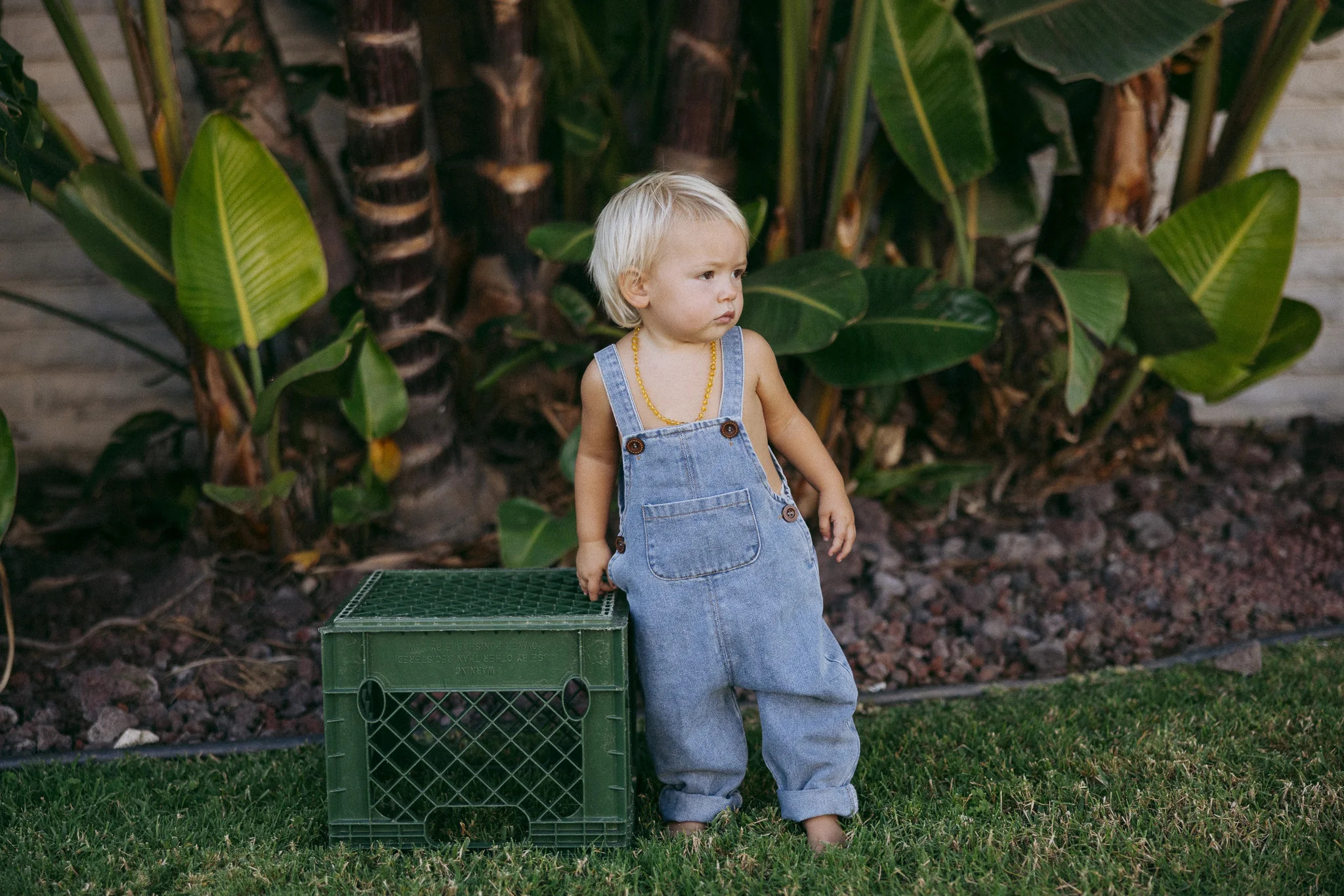 Mesa Overalls | Chili Pep