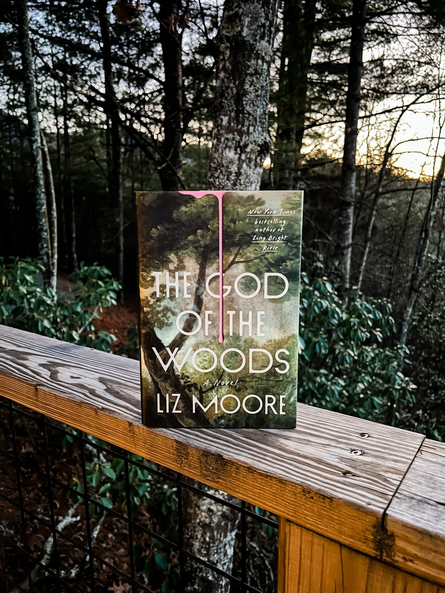 Early morning, August 1975: a camp counselor discovers an empty bunk. Its occupant, Barbara Van Laar, has gone missing. Barbara isn’t just any thirteen-year-old: she’s the daughter of the family that owns the summer camp and employs most of the region’s residents. And this isn’t the first time a Van Laar child has disappeared. Barbara’s older brother similarly vanished fourteen years ago, never to be found.

As a panicked search begins, a thrilling drama unfolds. Chasing down the layered secrets of the Van Laar family and the blue-collar community working in its shadow, Moore’s multi-threaded story invites readers into a rich and gripping dynasty of secrets and second chances. It is Liz Moore’s most ambitious and wide-reaching novel yet. 

#LTKGiftGuide #LTKFindsUnder50 #LTKU