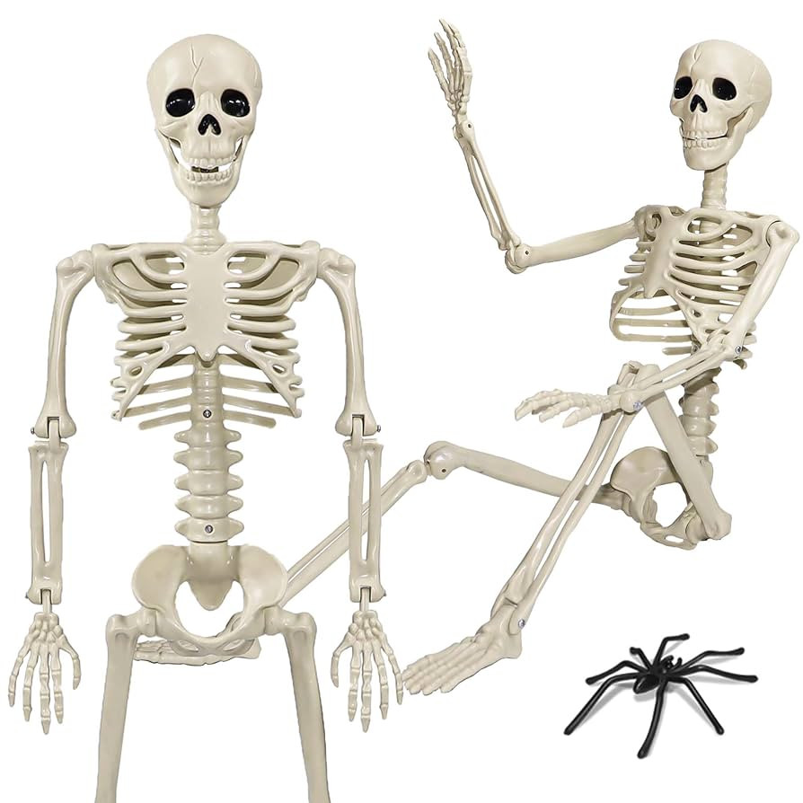36" Skeleton Halloween Decorations, 3ft Life Size Human Skeleton with Full Body Movable Posable J... | Amazon (US)