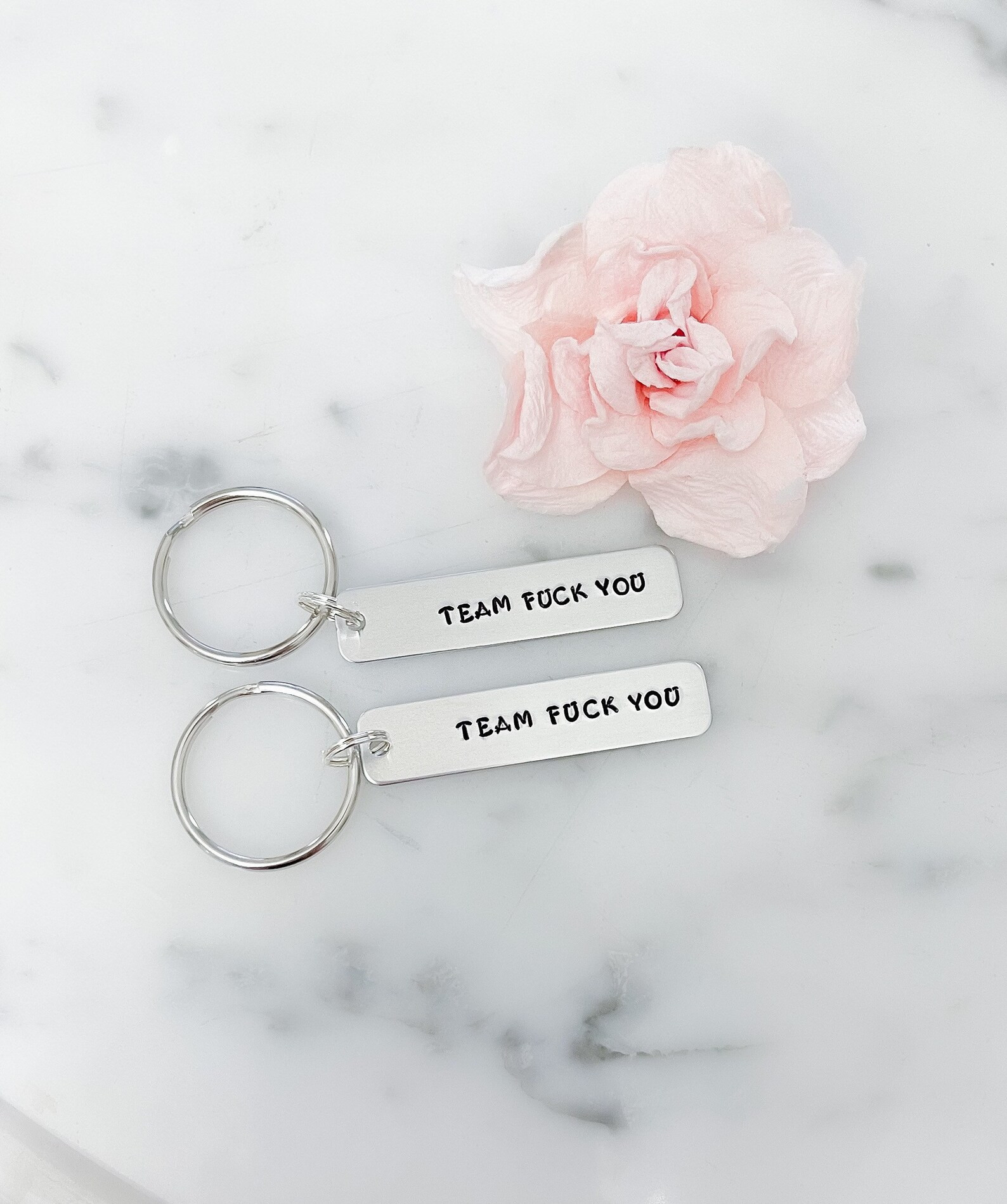 NEW | Crescent City 2 Inspired Team Fuck You Keychain Set | SJM, Bryce, Ruhn, Hunt | House of Sky... | Etsy (US)