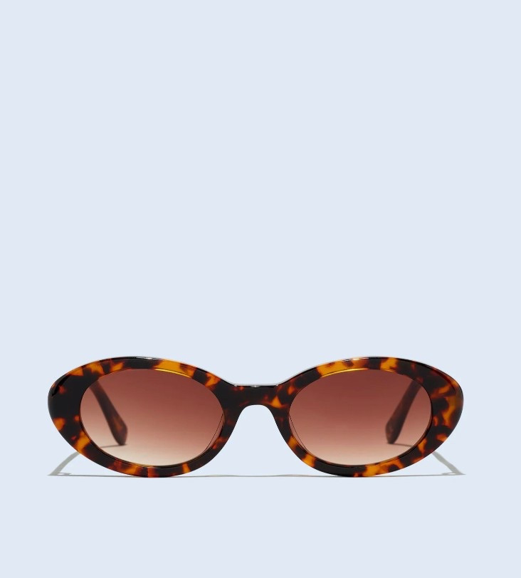 Madewell oval sunglasses so chic for summer 2025!

#LTKStyleTip #LTKFindsUnder100 #LTKSeasonal