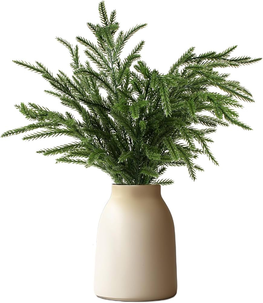 18 inch Norfolk Pine Branch, 4 Pcs Real Touch Greenery Stems Faux Pine Branches for Wreath Christ... | Amazon (CA)