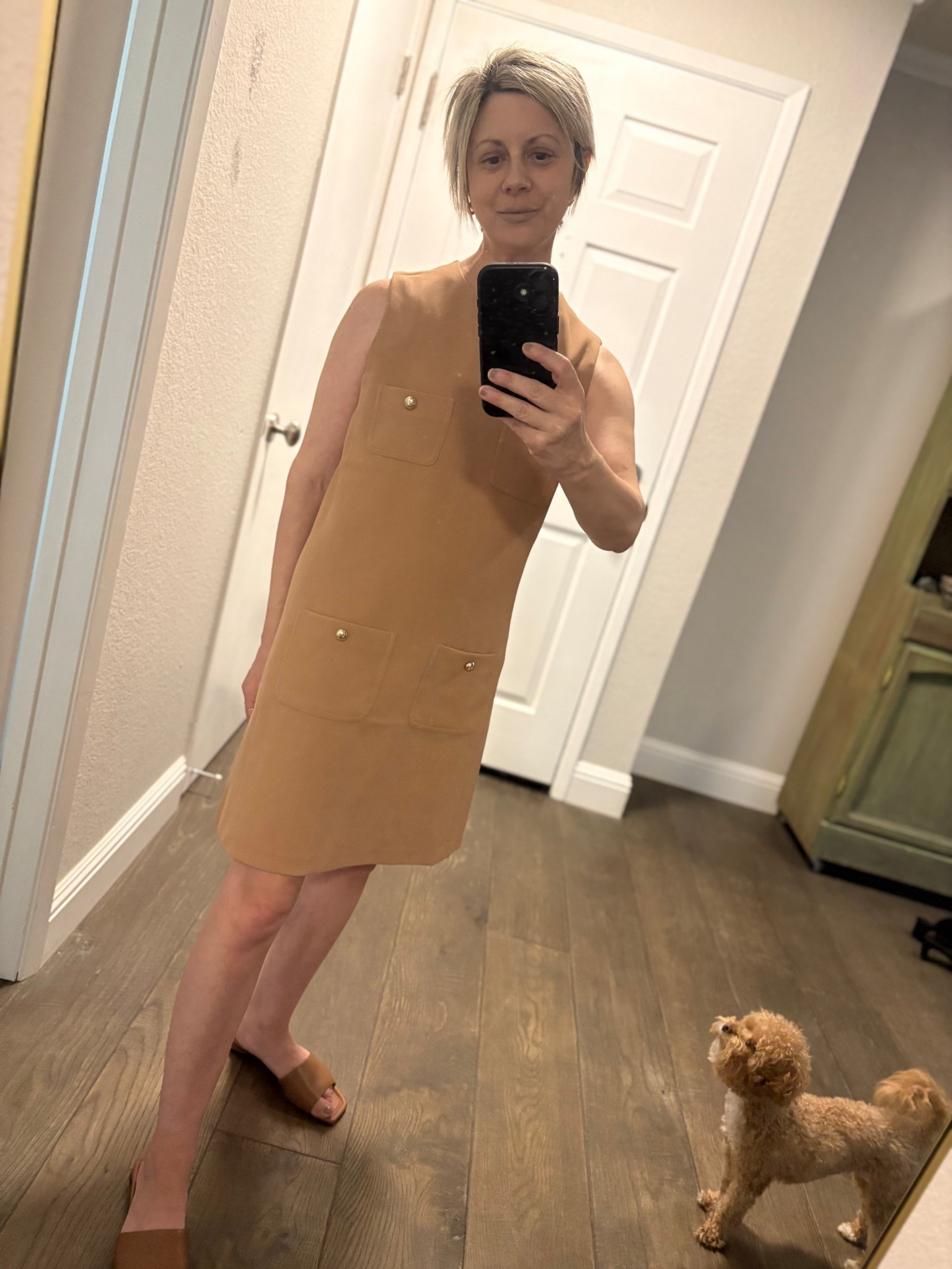 The photobomb is my favorite….that’s Bowie 🤎 this dress is under $45. Year round - as I’m wearing it here for summer/spring….add boots and a blazer for fall/winter. Fully lined. TTS. #fall #dresses #camel #minimalist #simpleandchic #neutrals 

#LTKFindsUnder50 #LTKStyleTip #LTKSeasonal