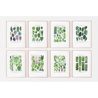 Set Of 8 Botanical Posters Philodendron, Epipremnum & Scindapsus, Marantaceae, Monstera, Syngonium, Hoya, Begonia, Shingling Plants | Etsy (US)