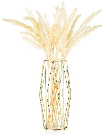 Gold Pampas Grass Vase for Flower, 1Pc Glasseam Modern Geometric Metal Decor Vases with Clear Gla... | Amazon (US)