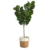 6ft. Fiddle Leaf Fig Artificial Tree in Handmade Natural Jute and Cotton Planter | Amazon (US)
