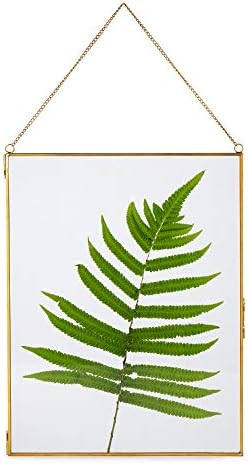 NCYP Large Wall Hanging Brass Glass Artwork Certificate Photo Picture Display Frame Geometric Orn... | Amazon (US)