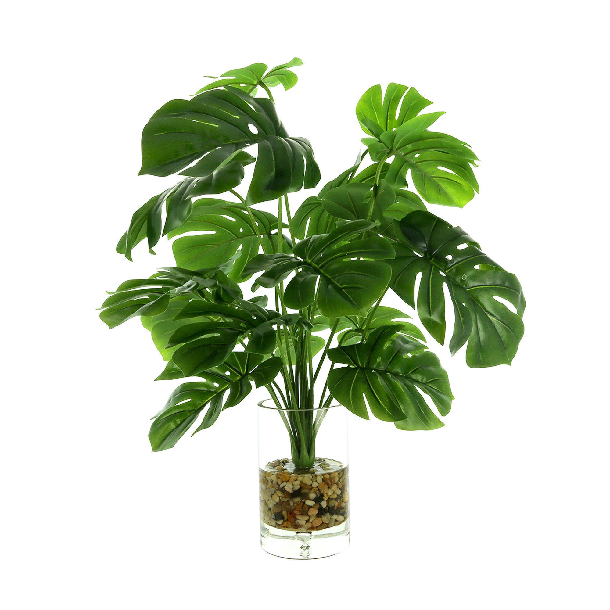 Monstera In Rocks With Water | Perigold