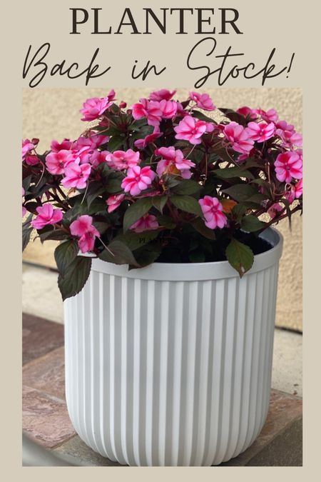 Walmart ribbed planter back in stock! Patio, planter, fluted planter, ribbed planter 

#LTKSeasonal #LTKfindsunder50 #LTKhome