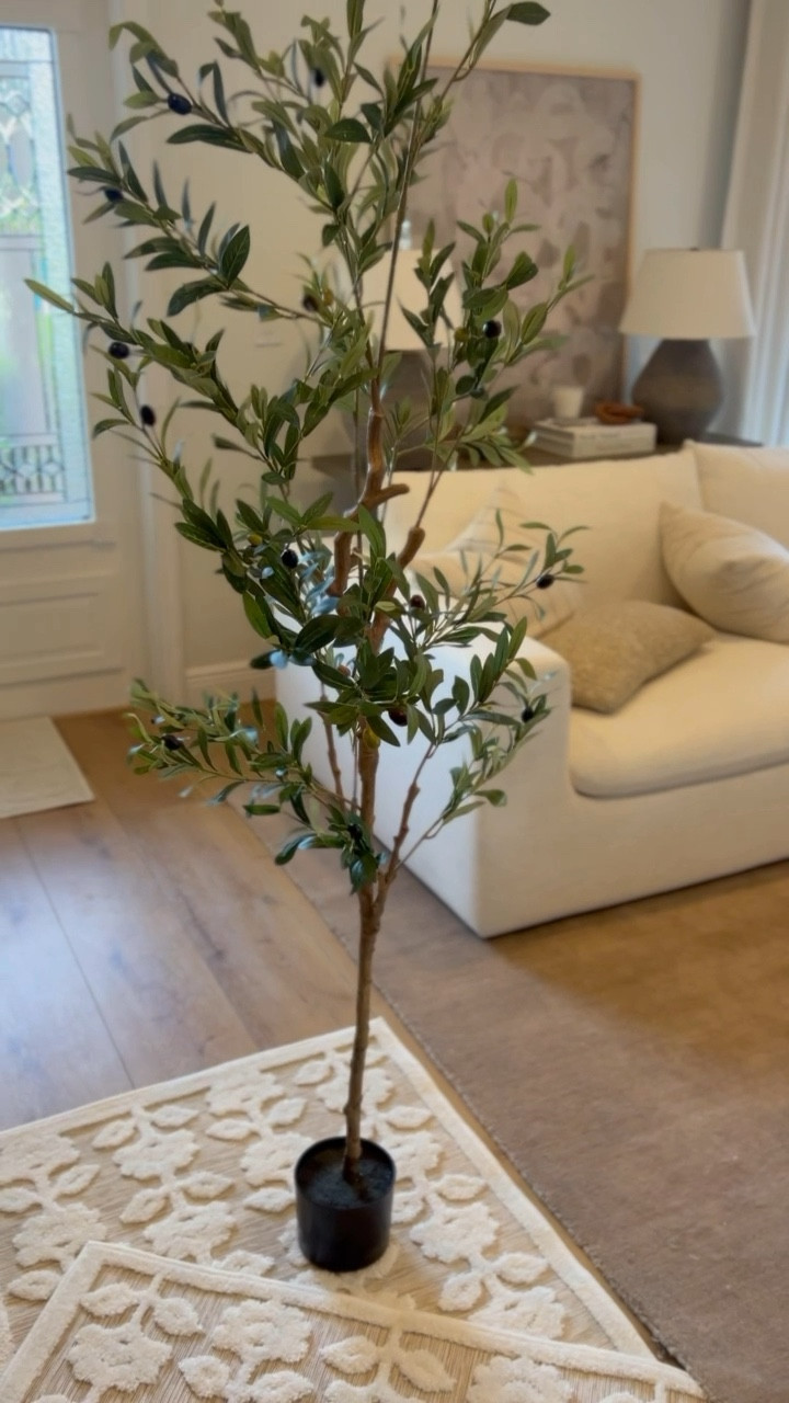 Decorative Olive Tree ✨

#LTKMostLoved #LTKWatchNow #LTKHome