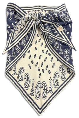 Paisley Swirl Navy Triangle Scarf Navy | The Willow Tree