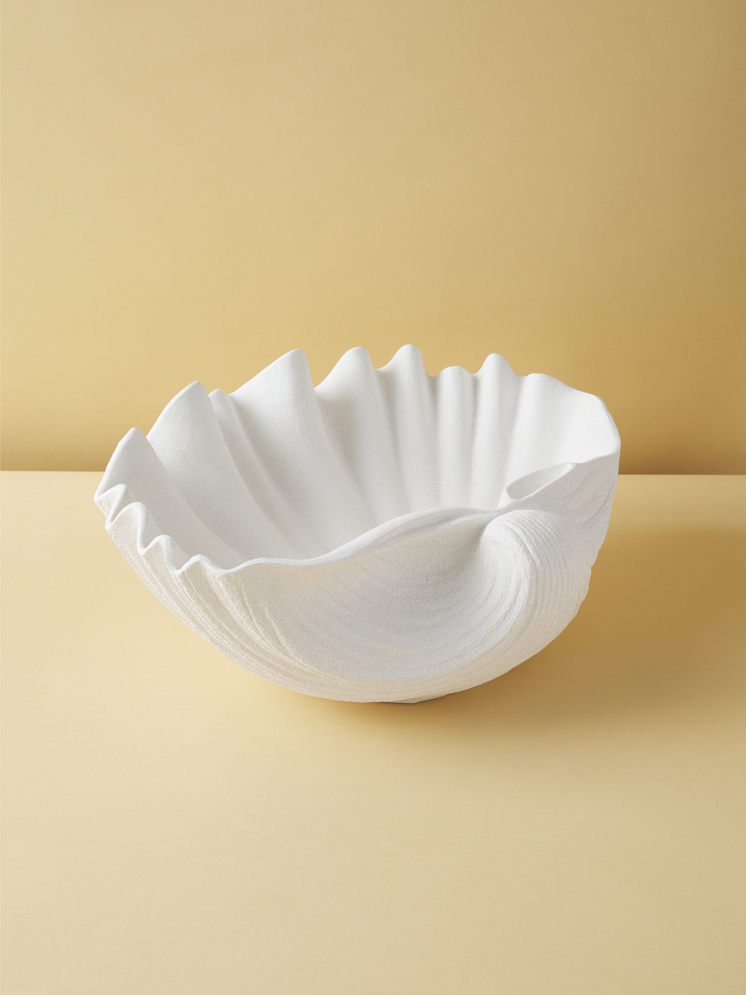 18in Decorative Shell | Shop By Style | HomeGoods | HomeGoods
