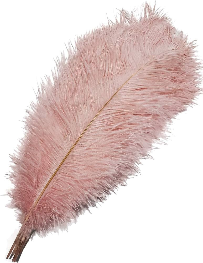 HAPPY FEATHER 16-18 inch Pink Ostrich Feathers Cratfs for Wedding Party Centerpieces Home Decorat... | Amazon (US)