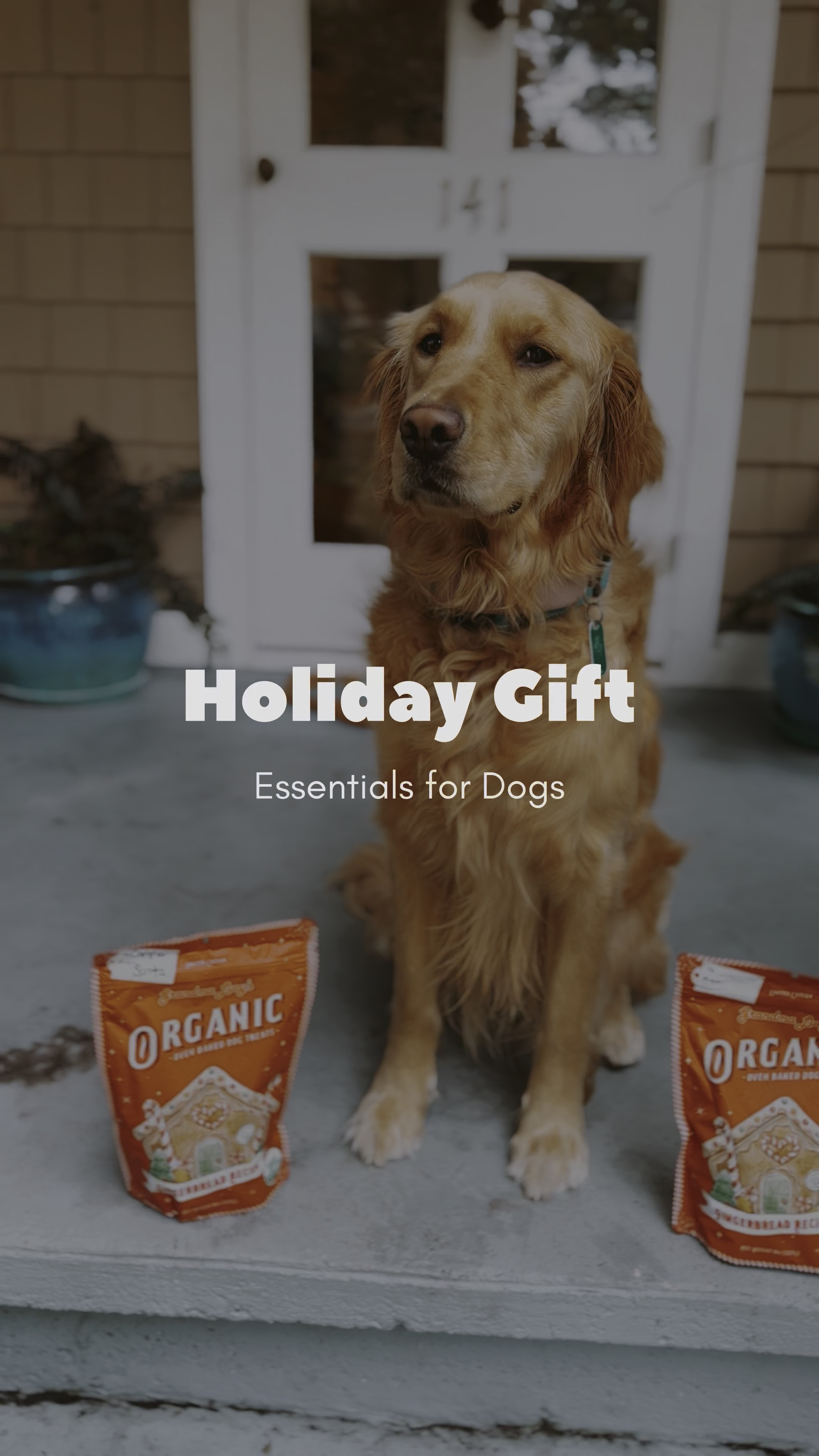 🎄🐾 Treat your pup to something special this holiday season with organic dog treats to fun + durable toys! ✨🎄

#GrandmaLucys #OrganicGingerbreadTreats #DogTreats #PupApproved #HolidayTreatsForDogs #OrganicDogTreats

#LTKHoliday #LTKGiftGuide #LTKWatchNow