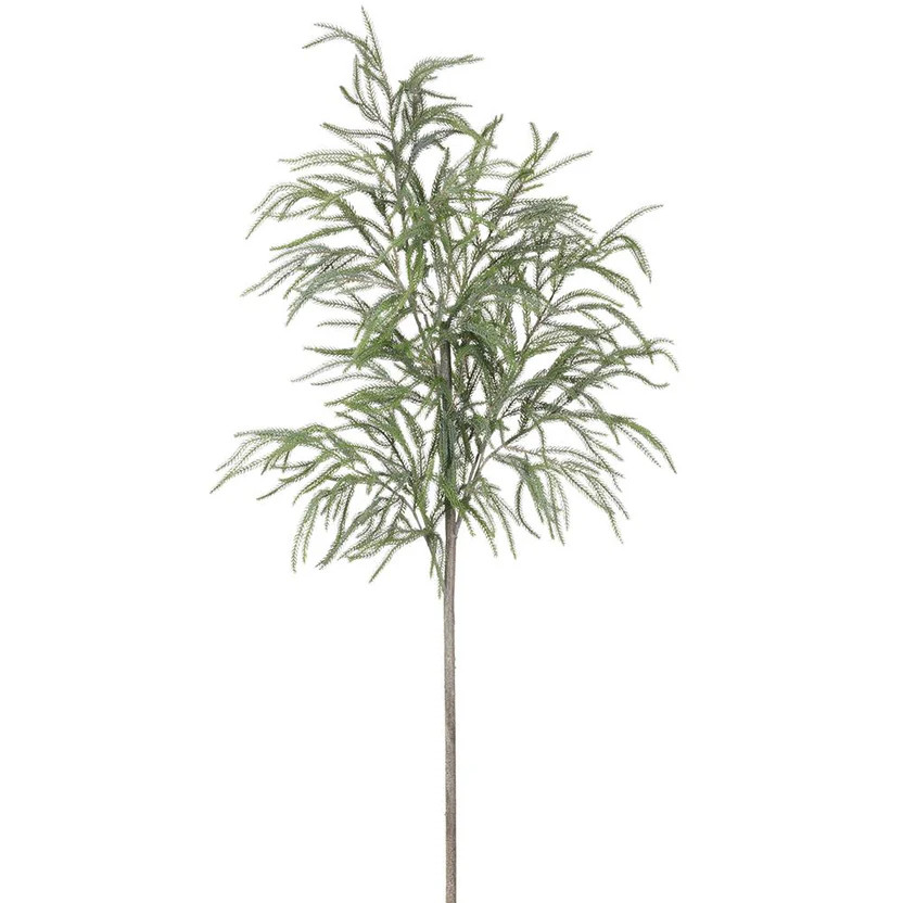 Large Spruce Tree Branch | Gatehouse No.1