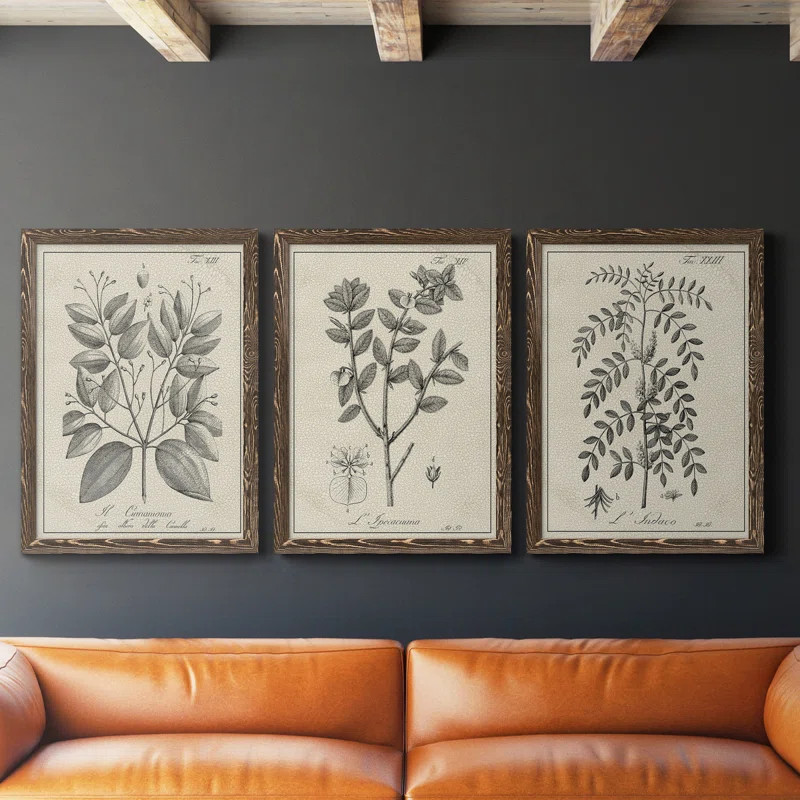 " Antique Black And White Botanical VII " 3 - Pieces on Canvas | Wayfair North America